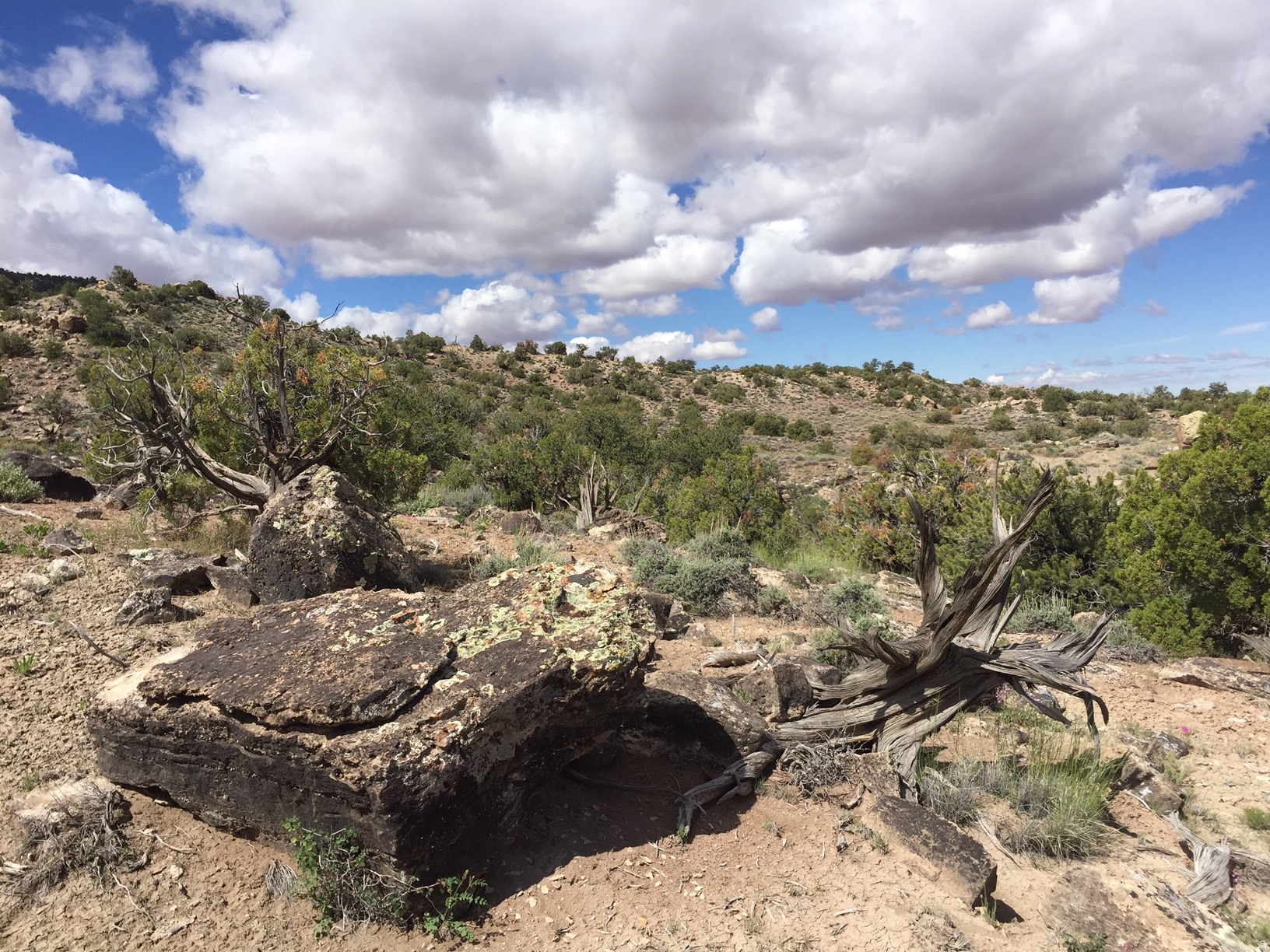KANE CREEK CANYON ES - Land