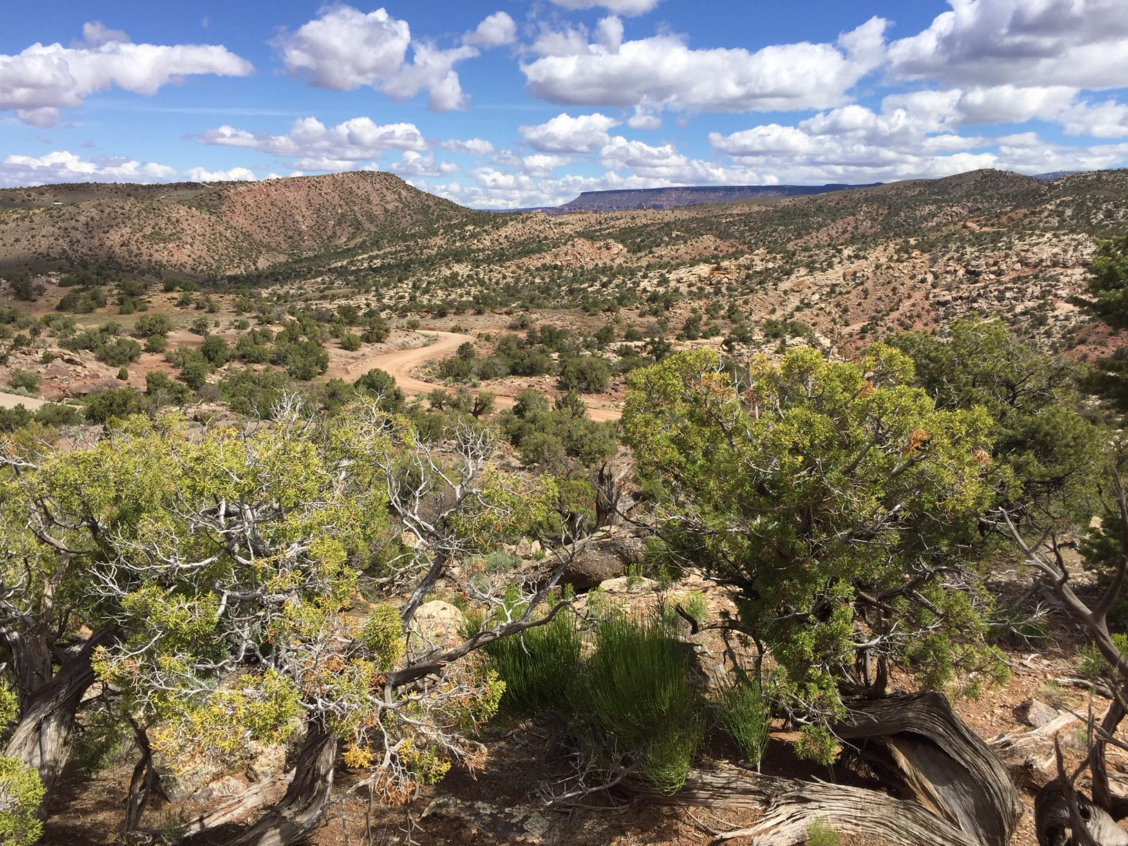 KANE CREEK CANYON ES - Land
