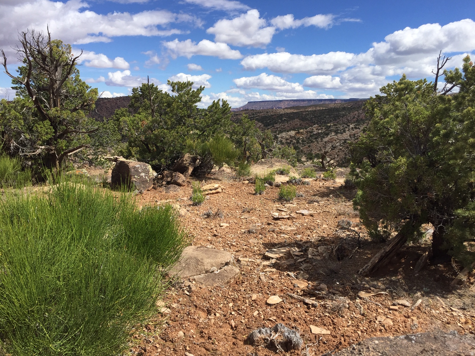 KANE CREEK CANYON ES - Land