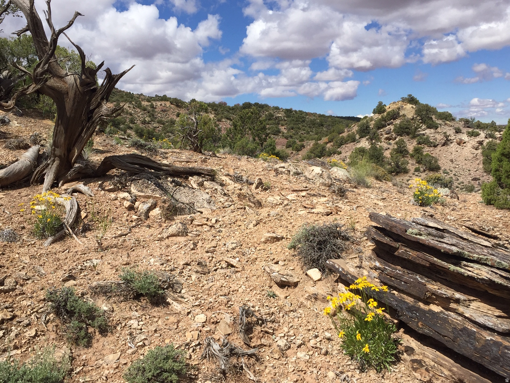 KANE CREEK CANYON ES - Land