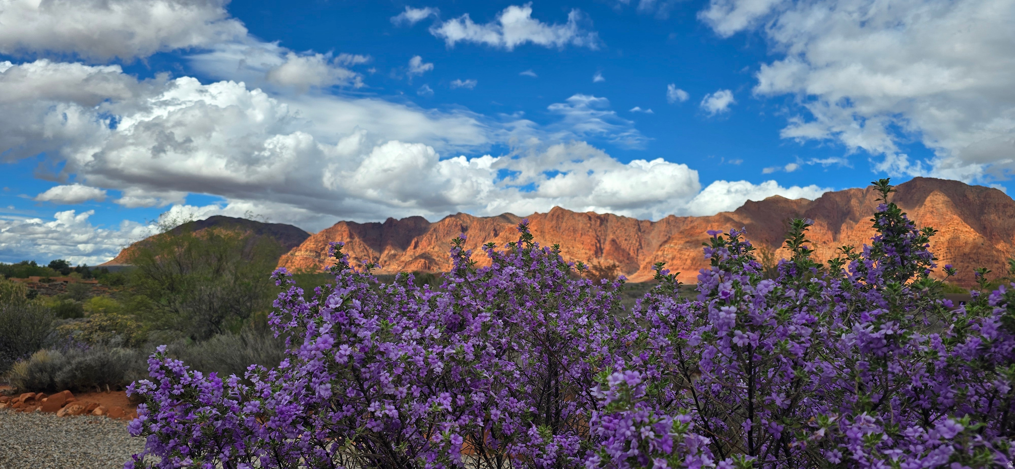 SHONTO POINT 4 - Residential