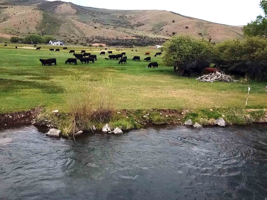 Photo of Hoytsville, UT 84017 (MLS # 2170015)