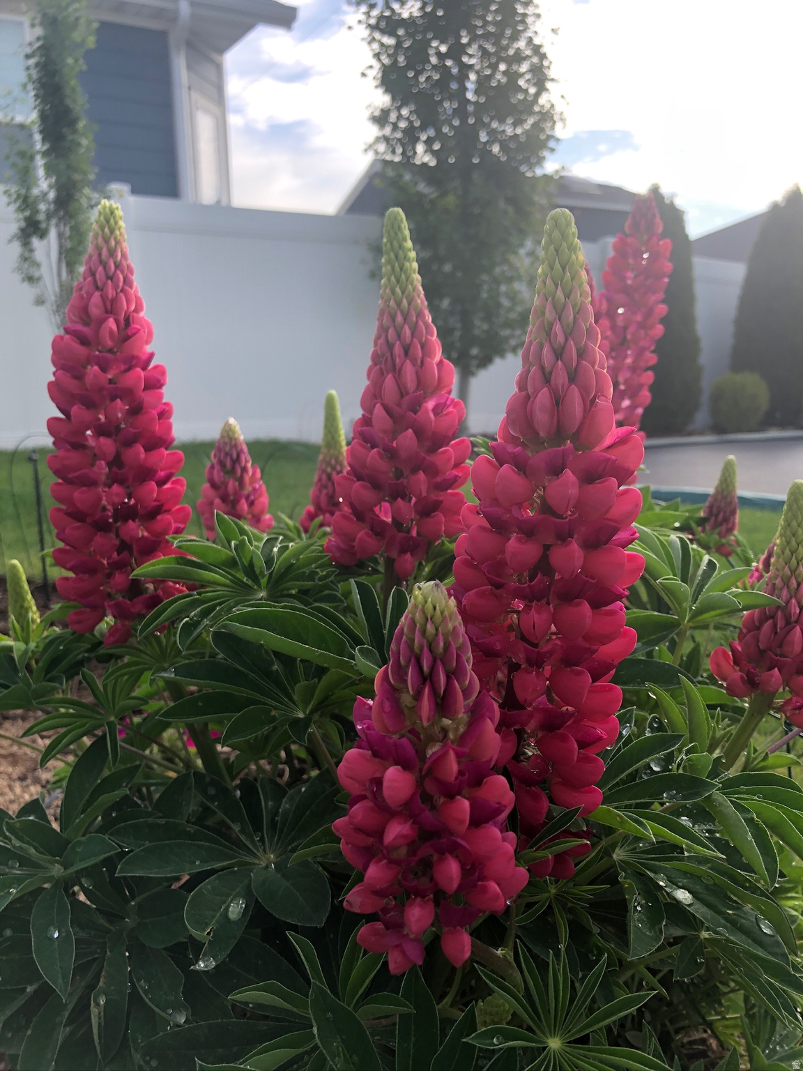 HOA SOLUTIONS - Residential