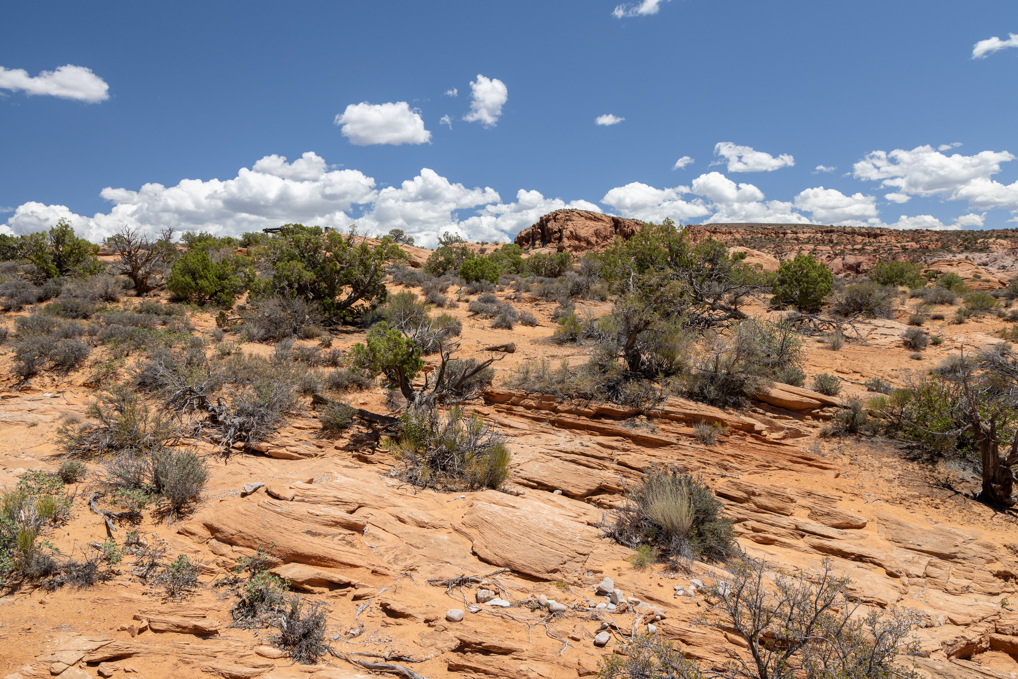 NAVJO HEIGHTS - Land
