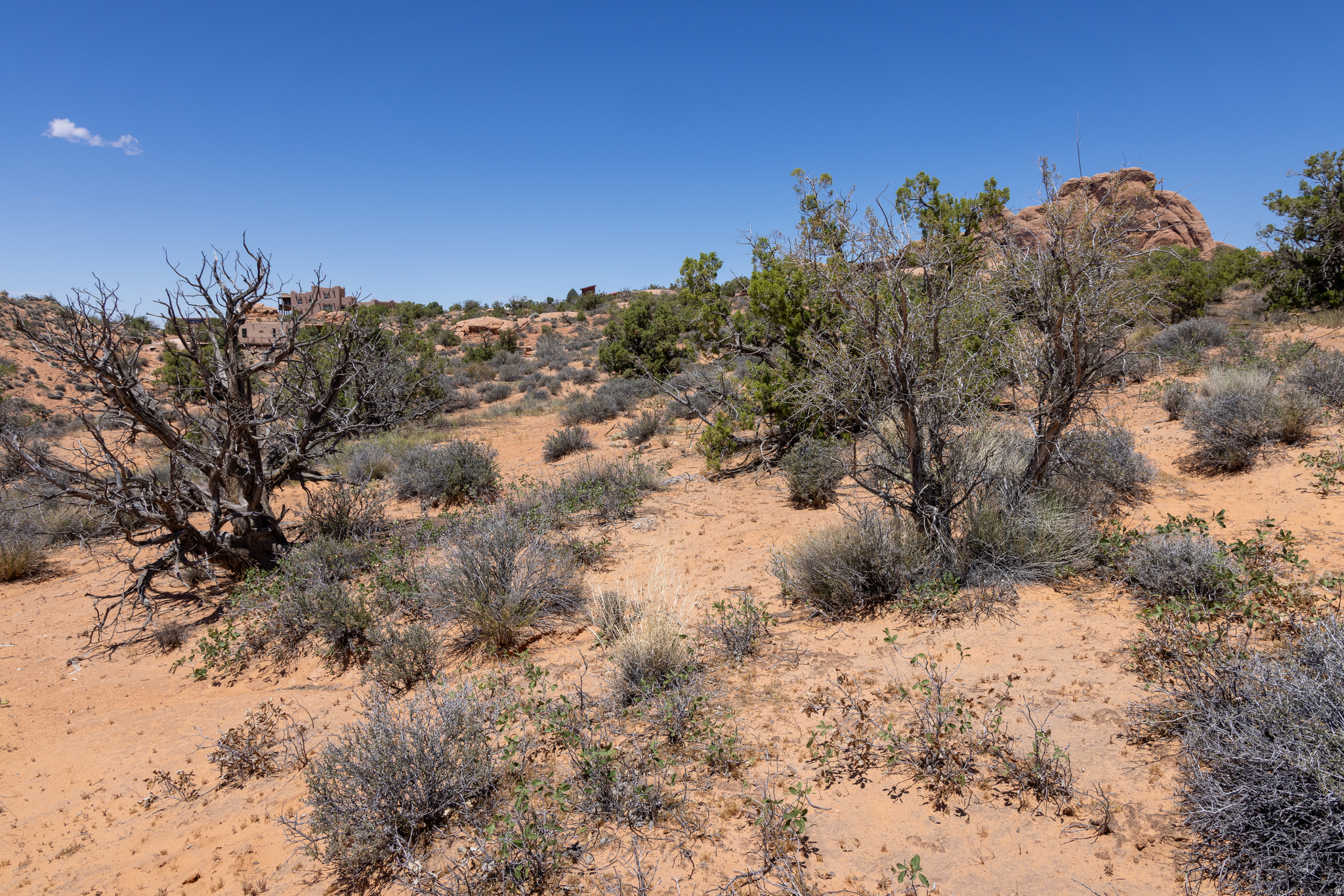 NAVJO HEIGHTS - Land