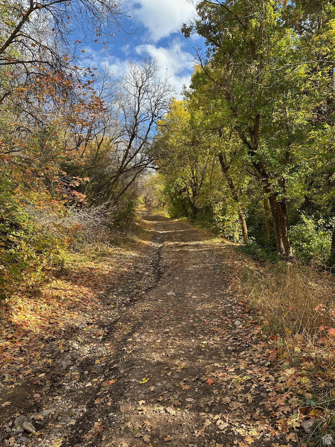 CREEKWOOD OF I.S. - Residential