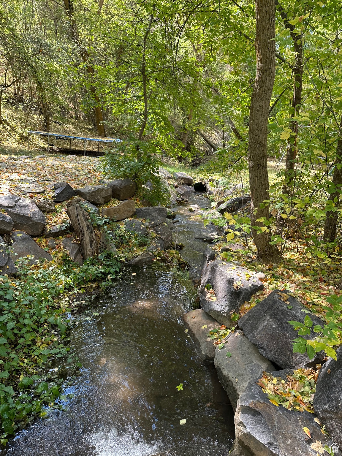 CREEKWOOD OF I.S. - Residential