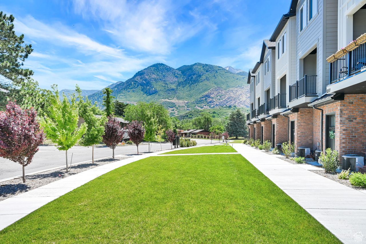THE OVERLOOK AT 16TH TOWN HOMES - Residential