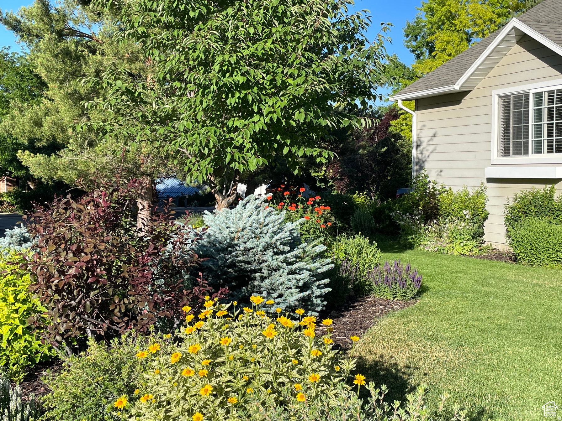 ORCHARD HEIGHTS - Residential