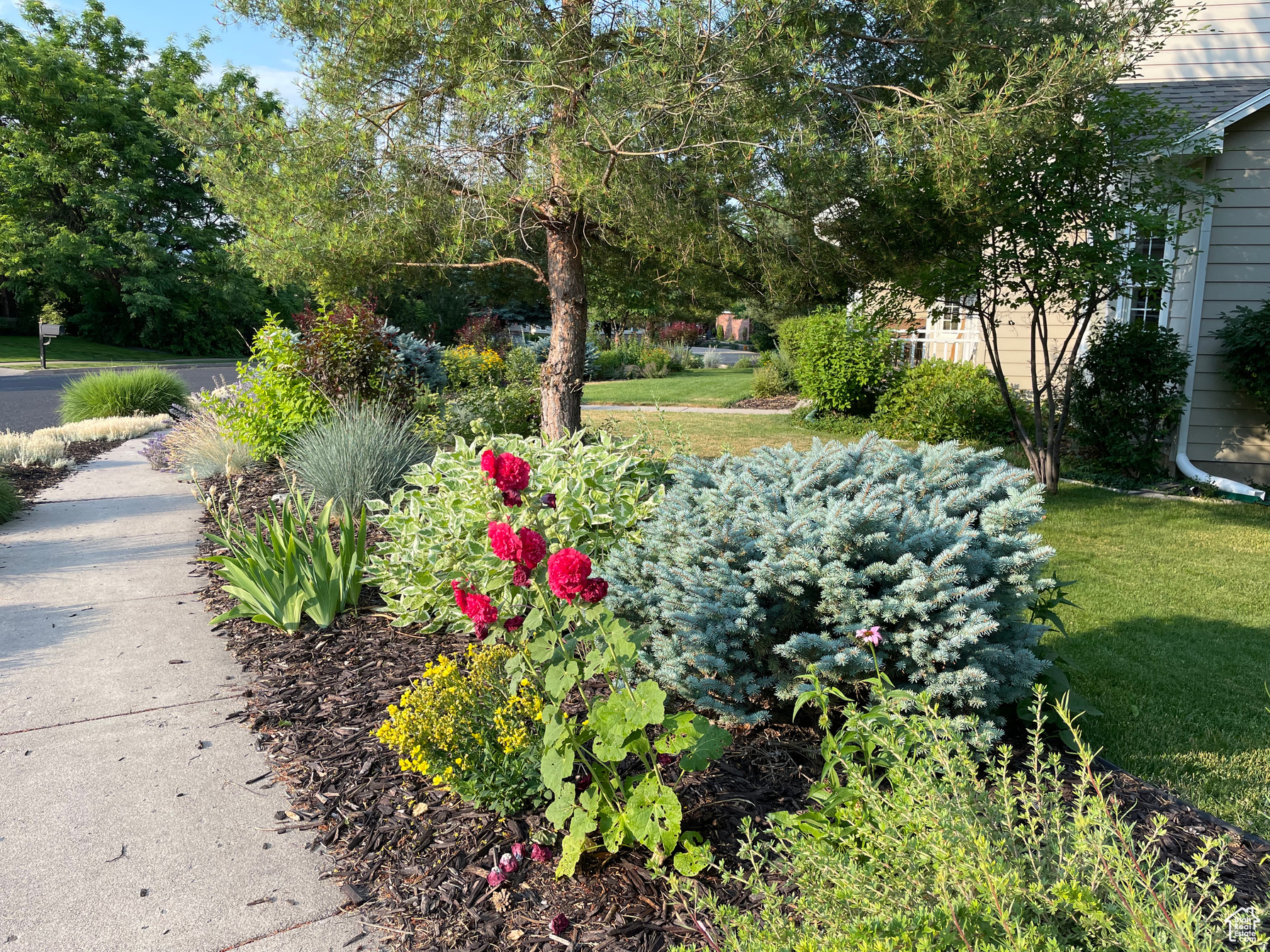 ORCHARD HEIGHTS - Residential