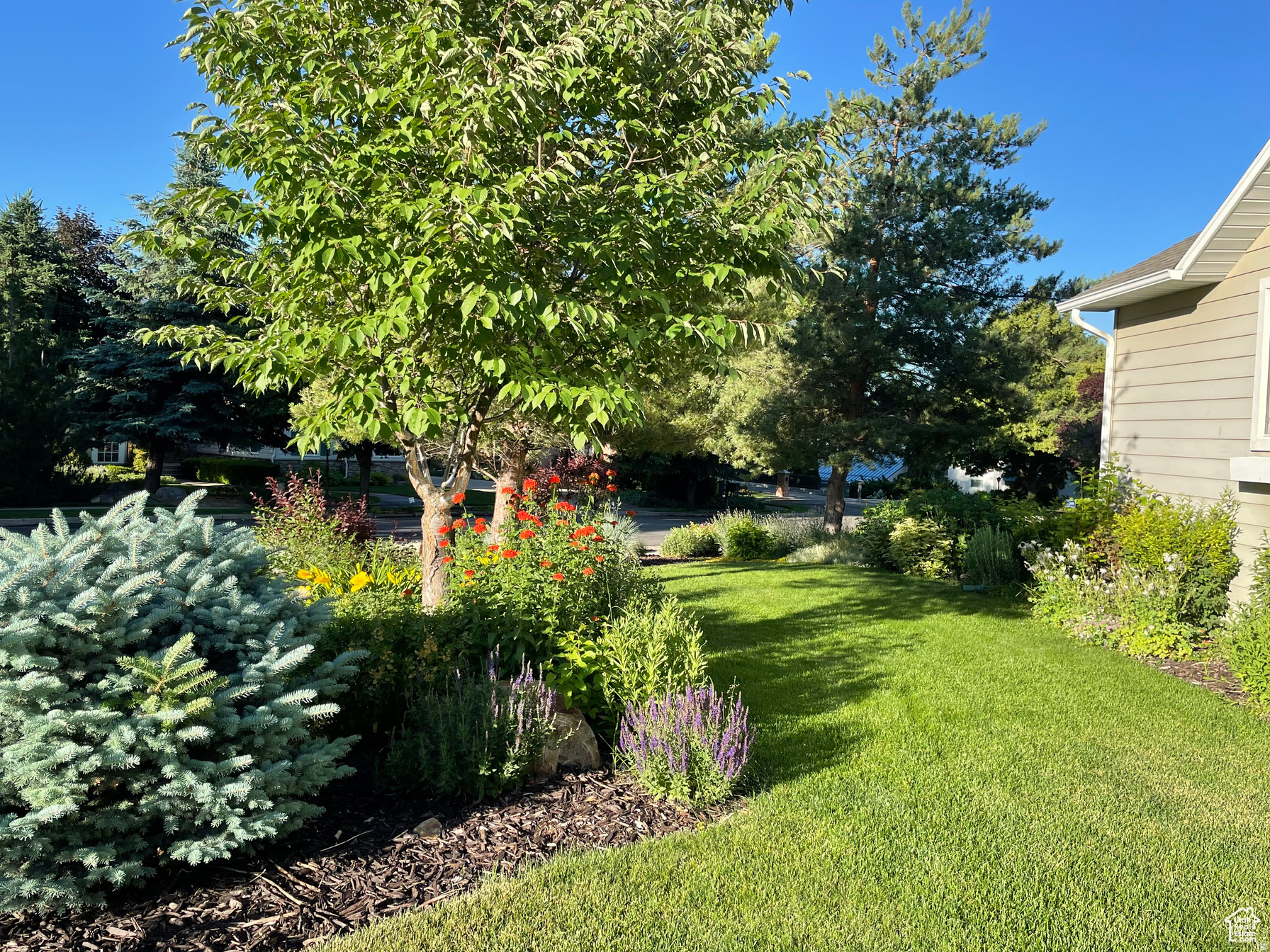 ORCHARD HEIGHTS - Residential