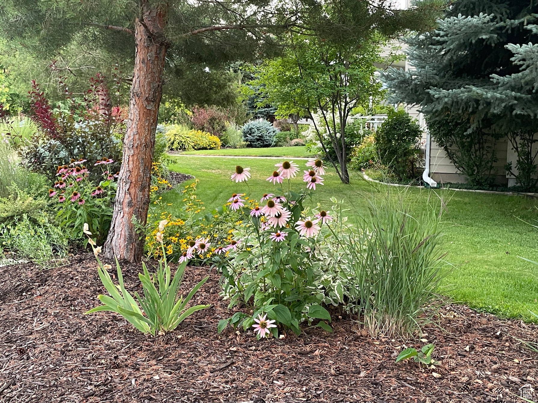 ORCHARD HEIGHTS - Residential