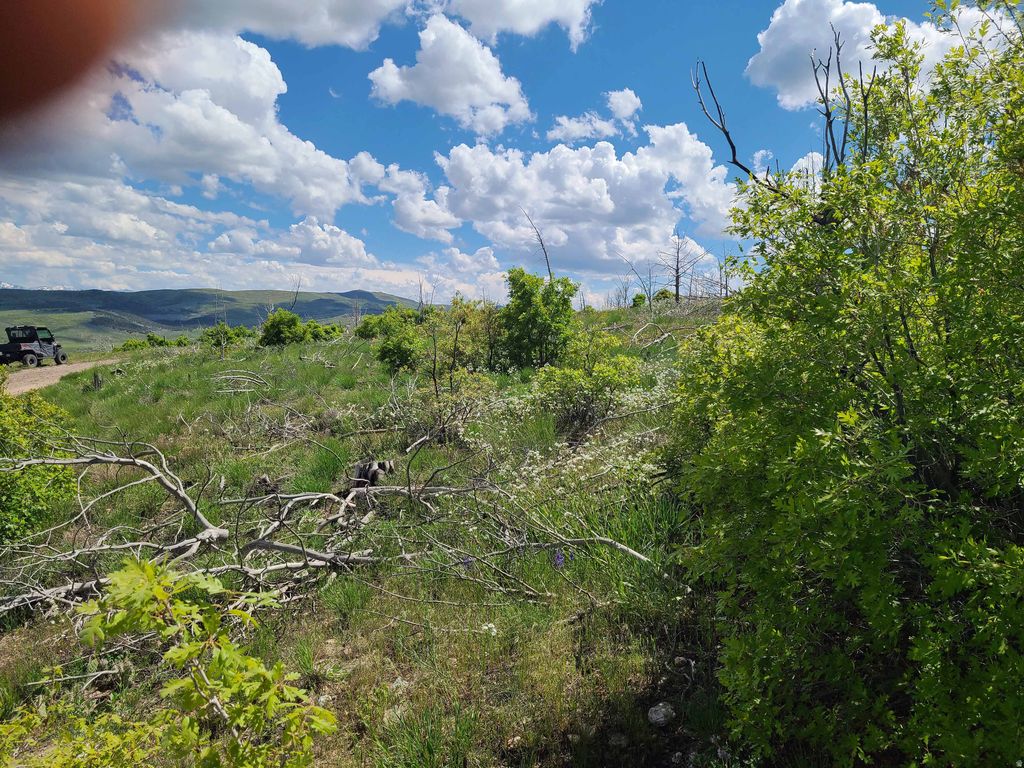 Photo of 6 W THUNDER CLOUD CRK #C6, Indianola, UT 84629 (MLS # 2136172)