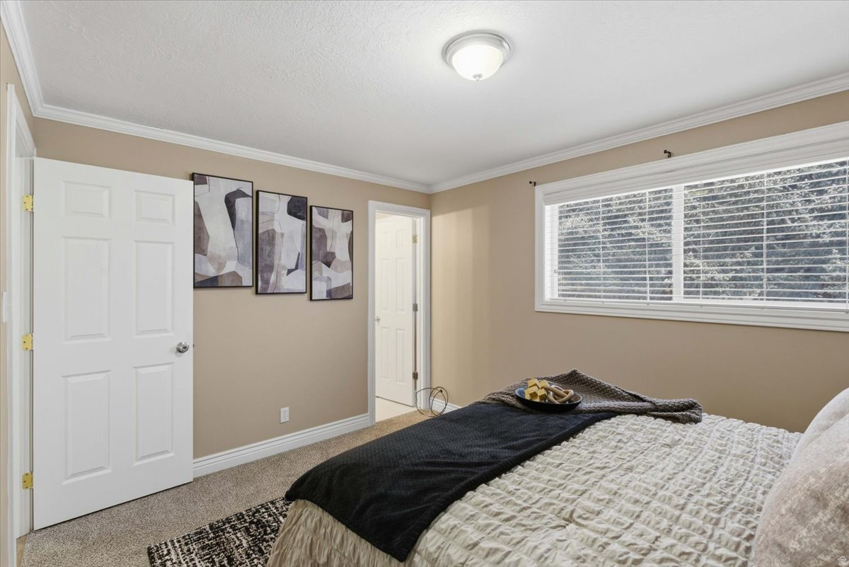 RILEY SUB - Residential