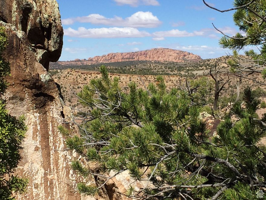Beautiful residential/recreational property just 18 minutes from Moab, that offers fabulous desert and mountain views.  This lot, located just off Kane Canyon Drive, offers striking views of the La Sal Mountains, the red fins of Behind the Rocks, Pole Canyon, and Kane Creek Canyon.  Power is conveniently located on the lot frontage.  New owner will install well and septic. County maintained roads throughout the subdivision.  There are no HOA dues. Sensible covenants are in place for the protection of property values.  Owner financing is available. Listing agent has partial ownership interest in lot.
