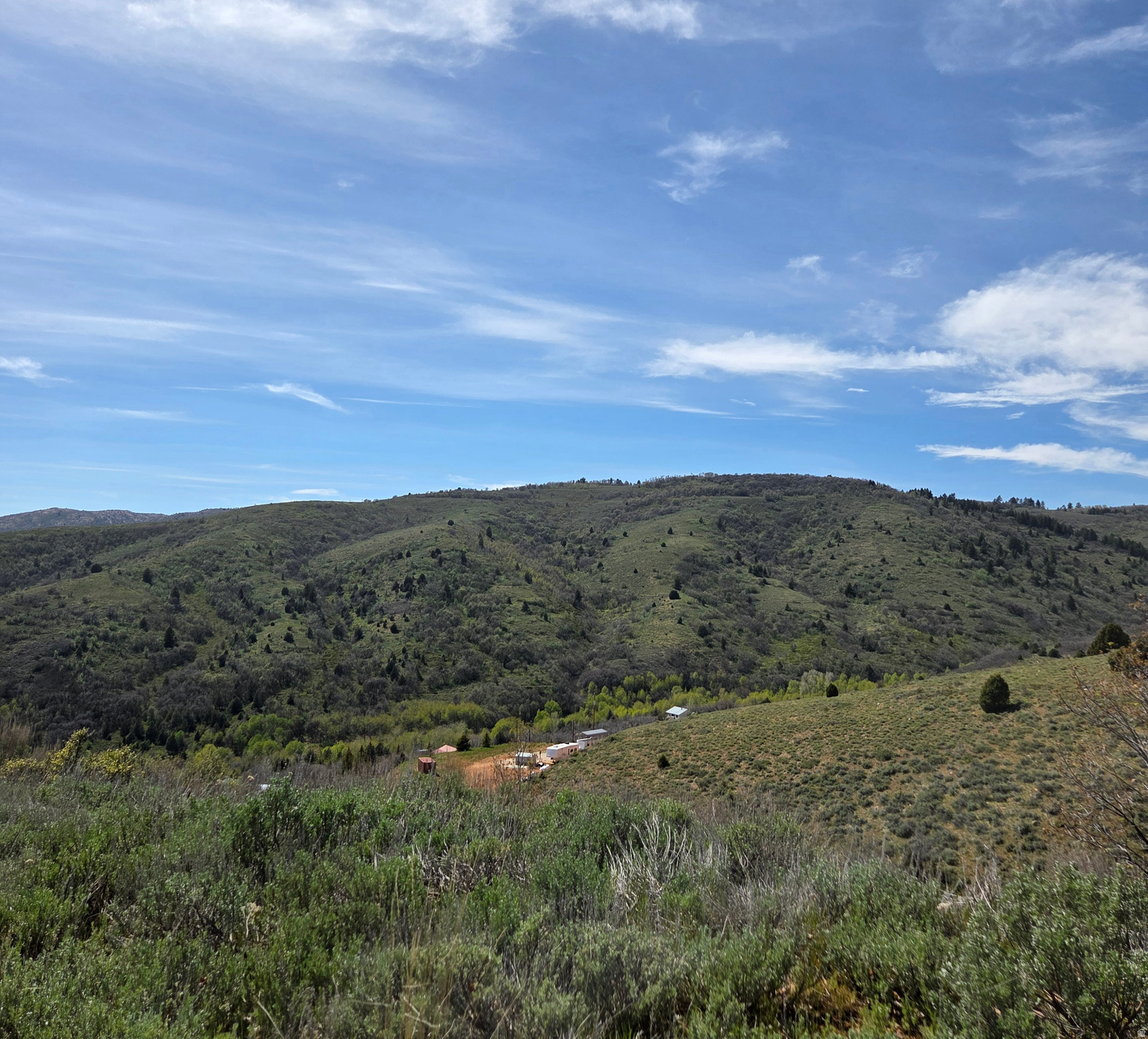 EVERGREEN - Land
