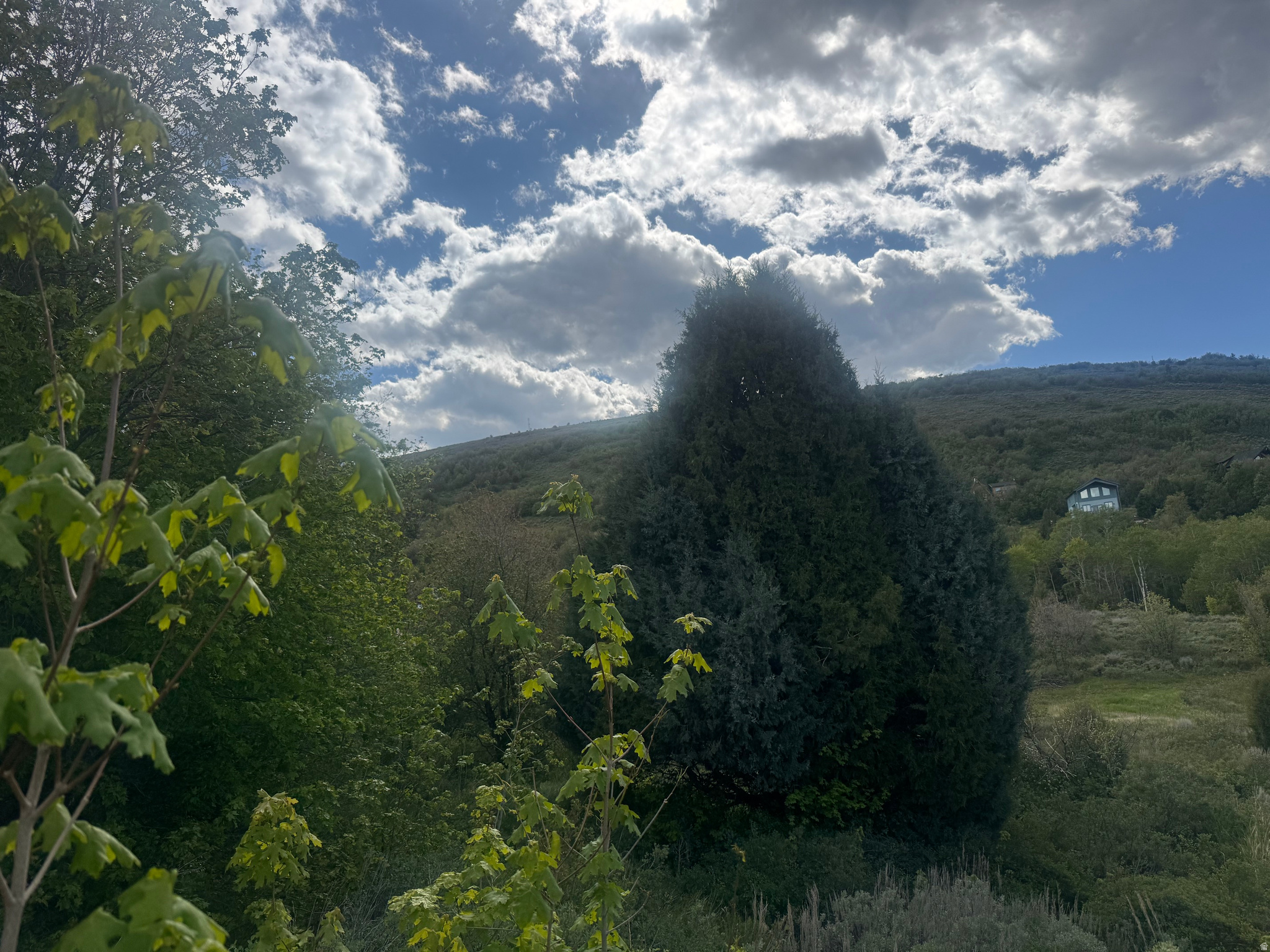 SWAN CREEK VILLAGE PH 2 - Land