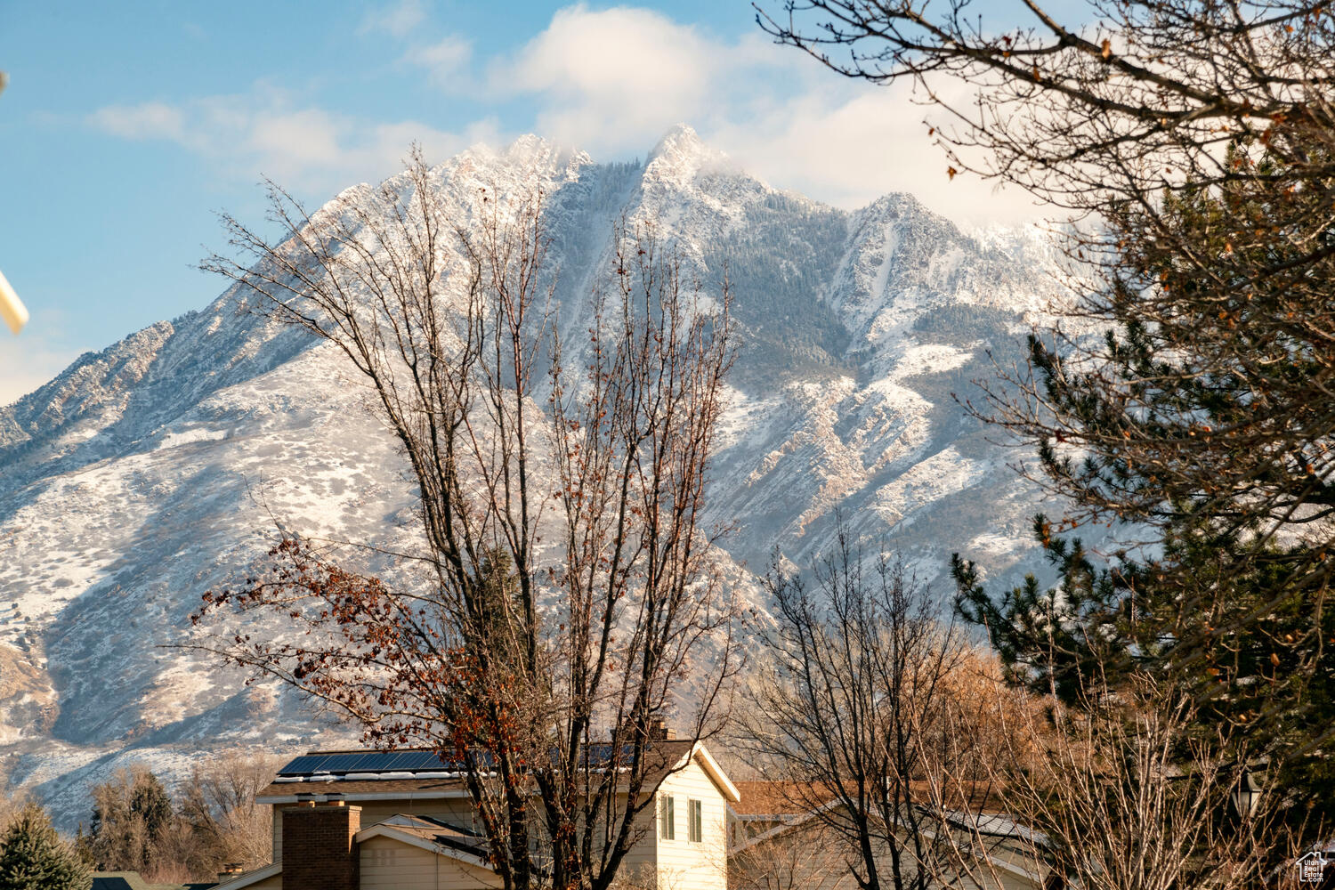 1405 E Vintry Ln, Murray, Utah image 38