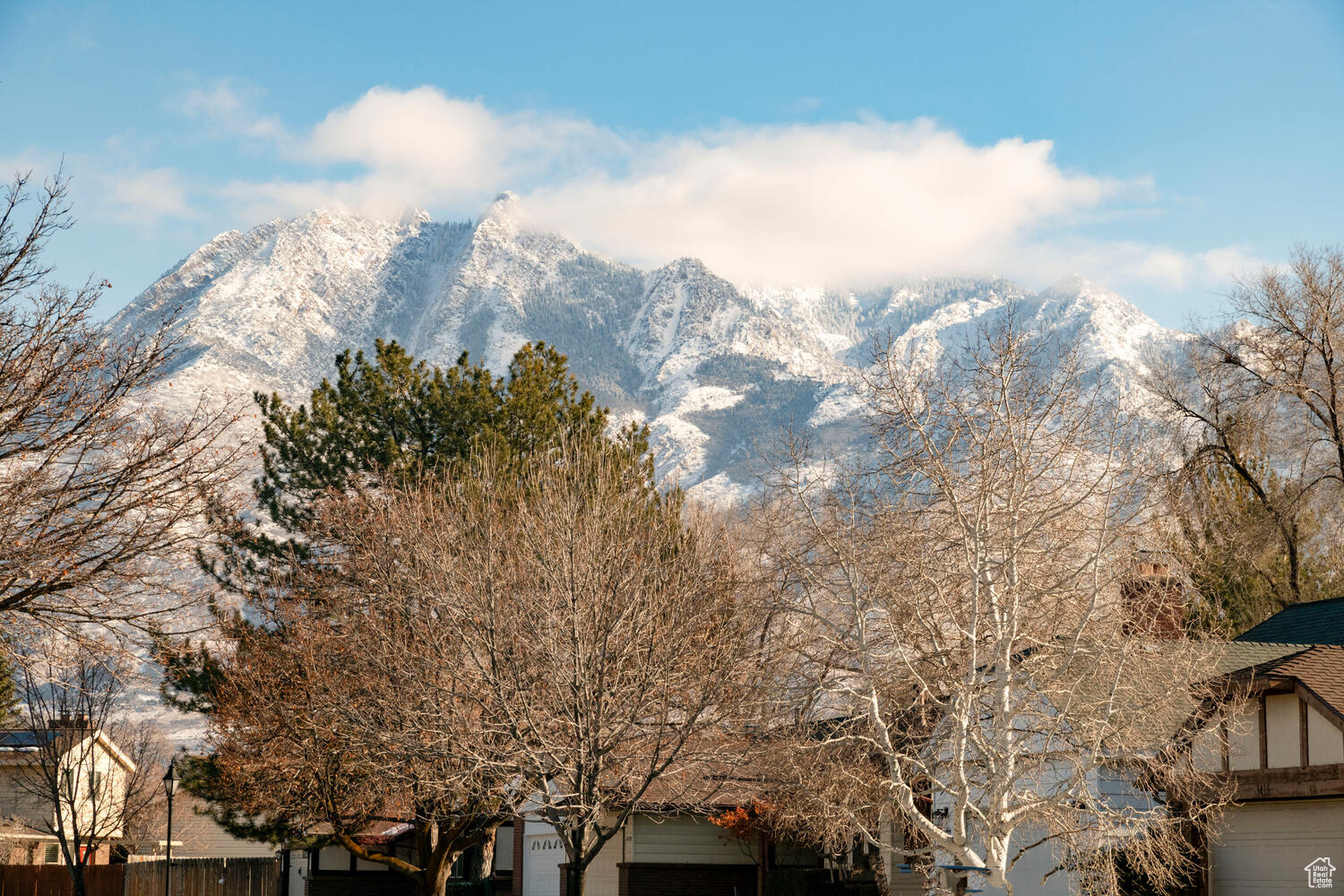 1405 E Vintry Ln, Murray, Utah image 37