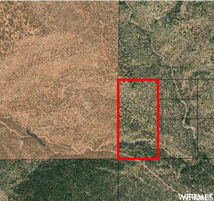TWENTY acres next to tribal land. Come enjoy the wild for the weekend or build your bug out spot here! Well permits are available. This lot is only 20 acres south of the "Ranches at Cedar Hollow" Subdivision.