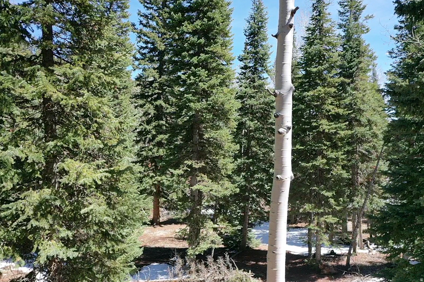 ZION VIEW MOUNTAIN ESTATE - Land