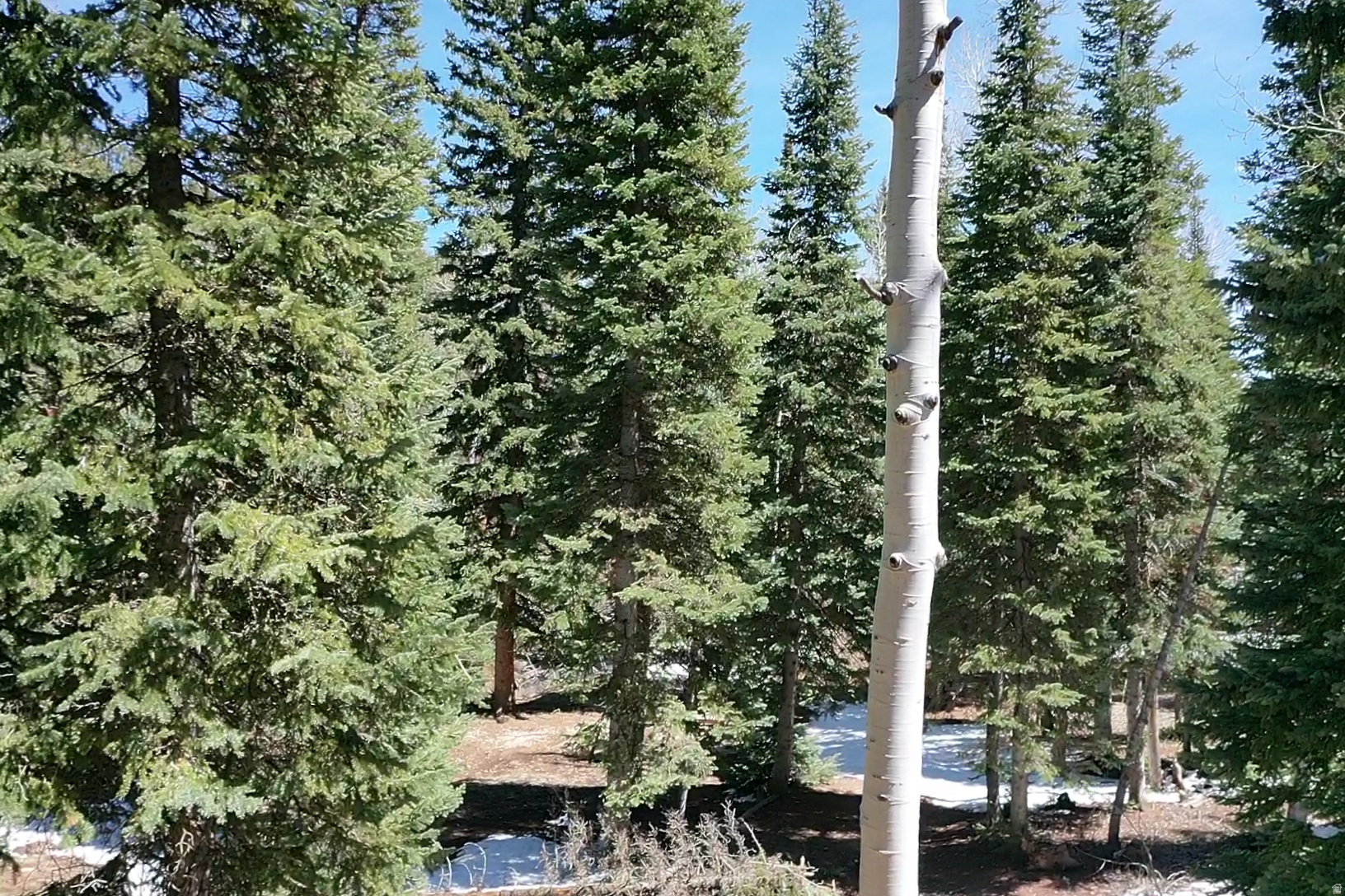 ZION VIEW MOUNTAIN ESTATE - Land