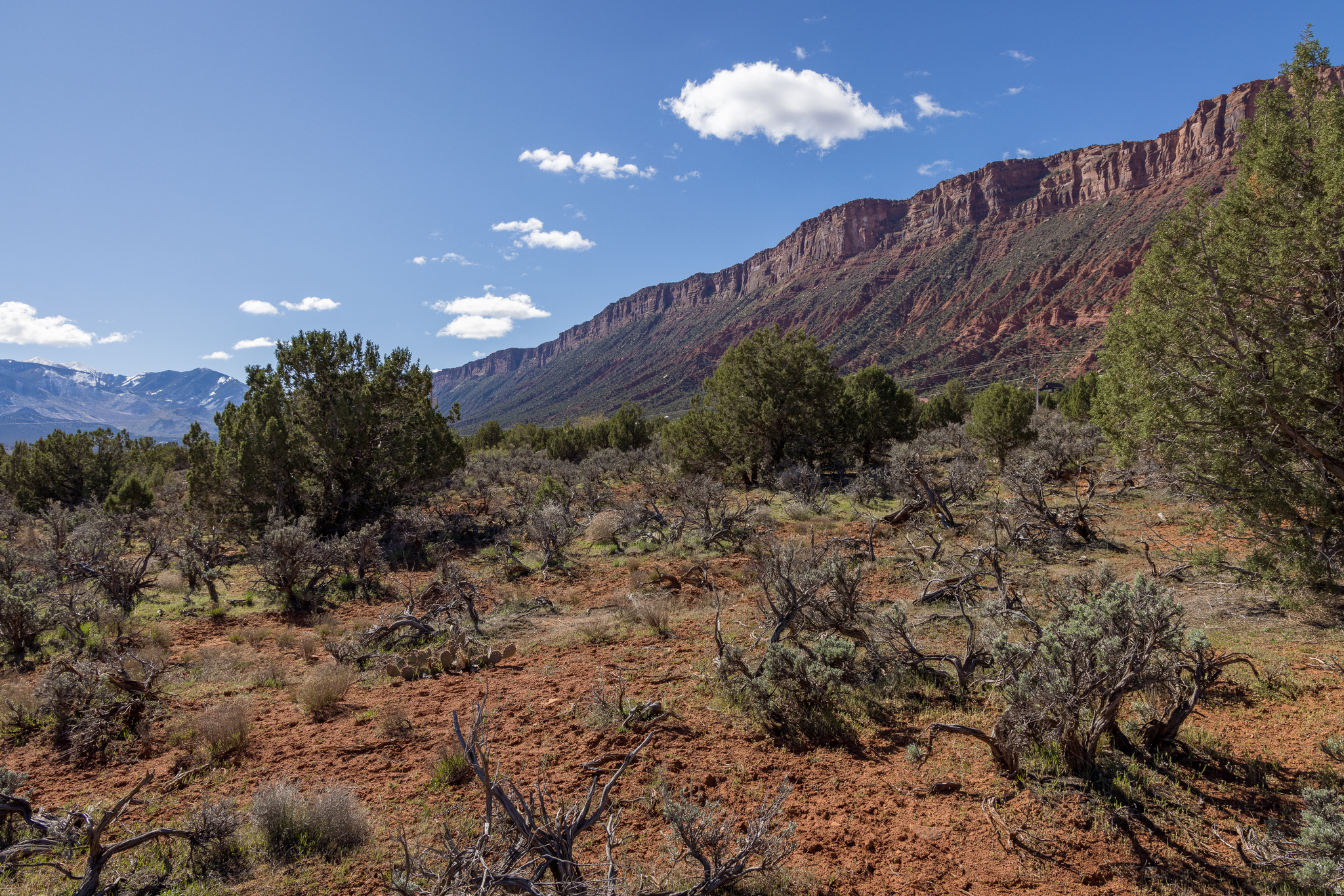 CASTLE VALLEY RIVER RANCHOS - Land