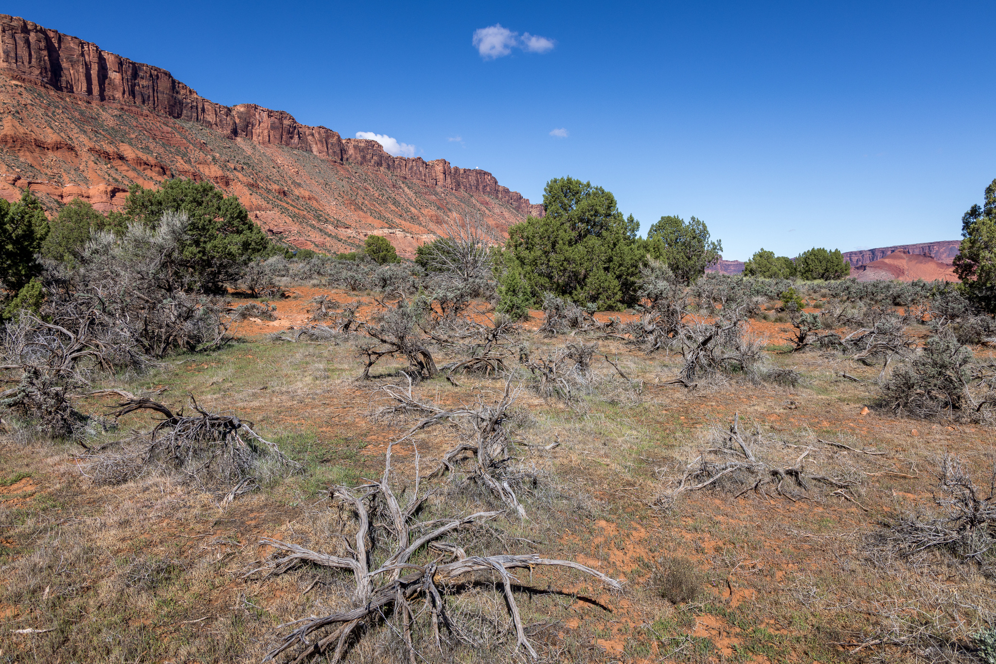 CASTLE VALLEY RIVER RANCHOS - Land