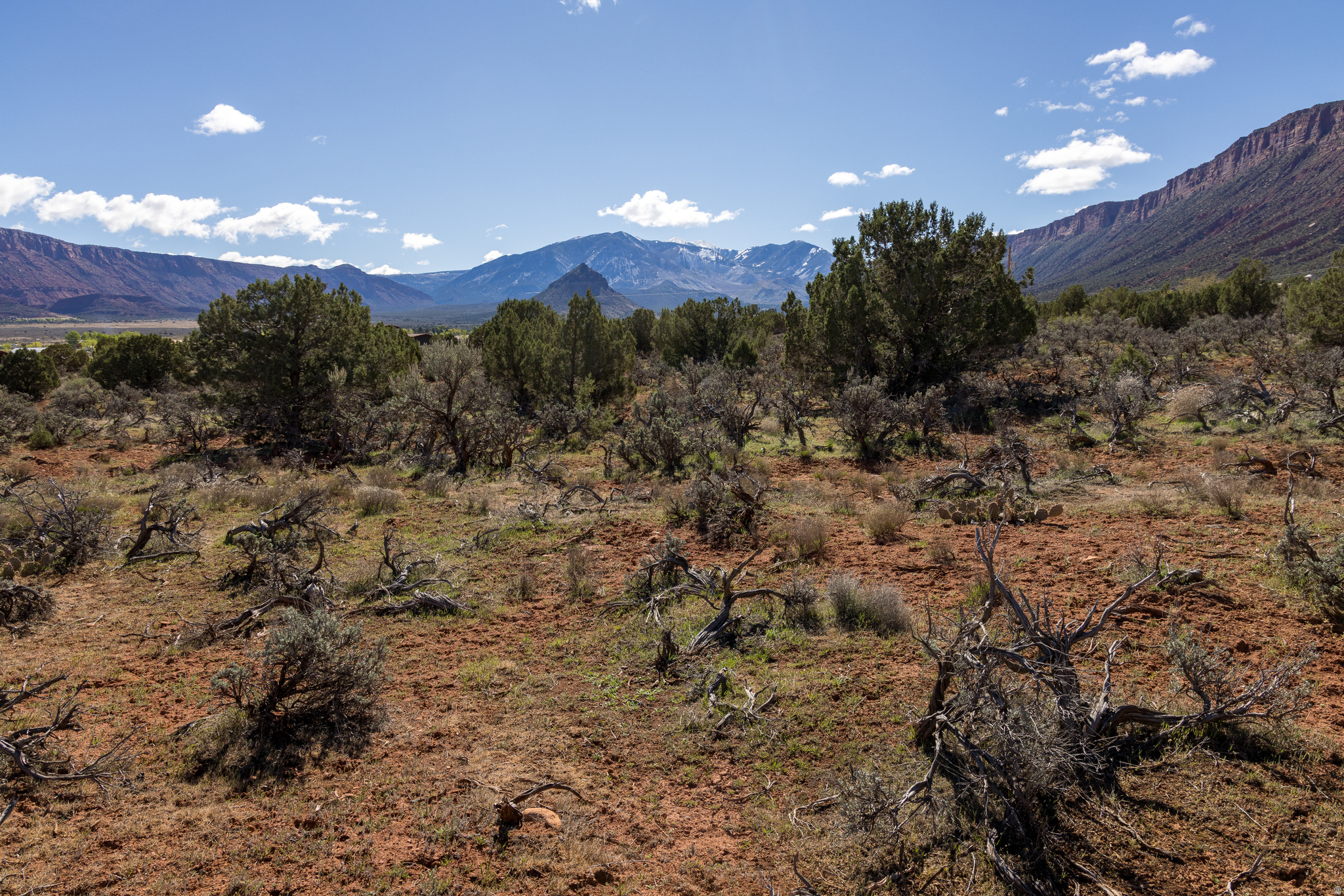 CASTLE VALLEY RIVER RANCHOS - Land