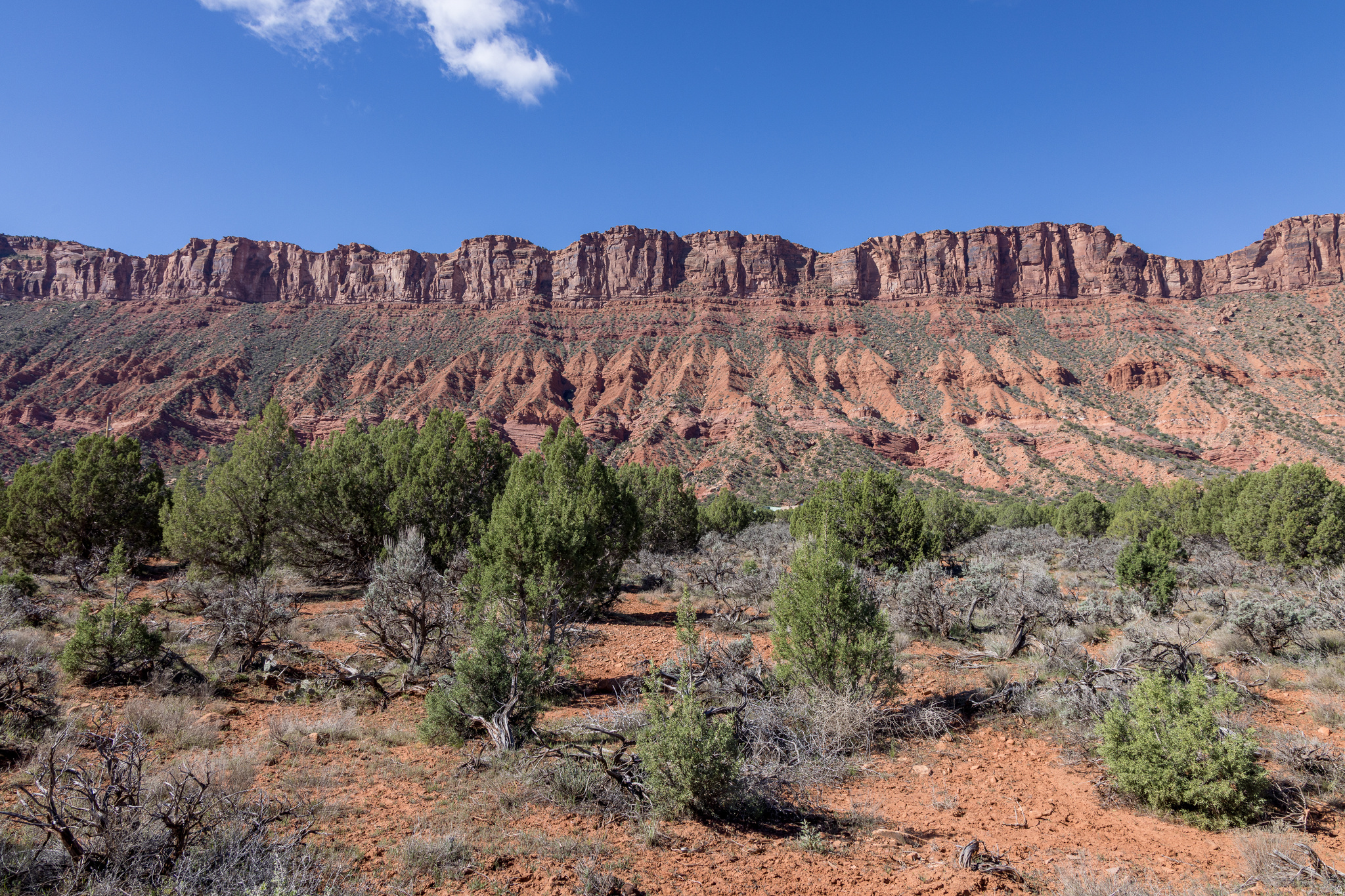 CASTLE VALLEY RIVER RANCHOS - Land