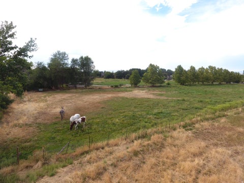 Tiny photo for 333 W MAPLE ST, Mapleton, UT 84664 (MLS # 2181366)