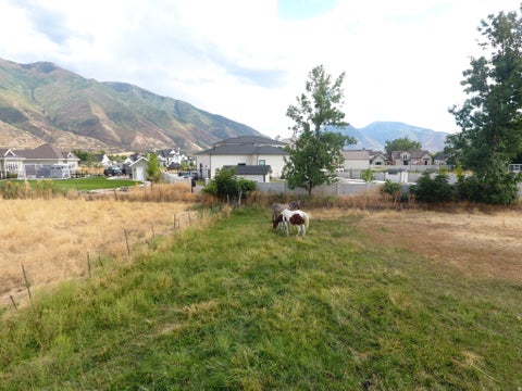 Tiny photo for 333 W MAPLE ST, Mapleton, UT 84664 (MLS # 2181366)