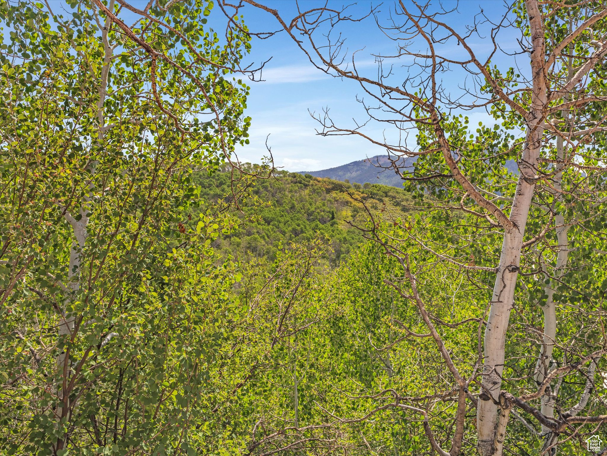 ASPEN MOUNTAIN - Land
