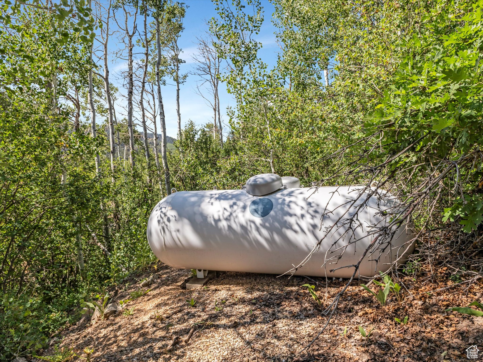 ASPEN MOUNTAIN - Land