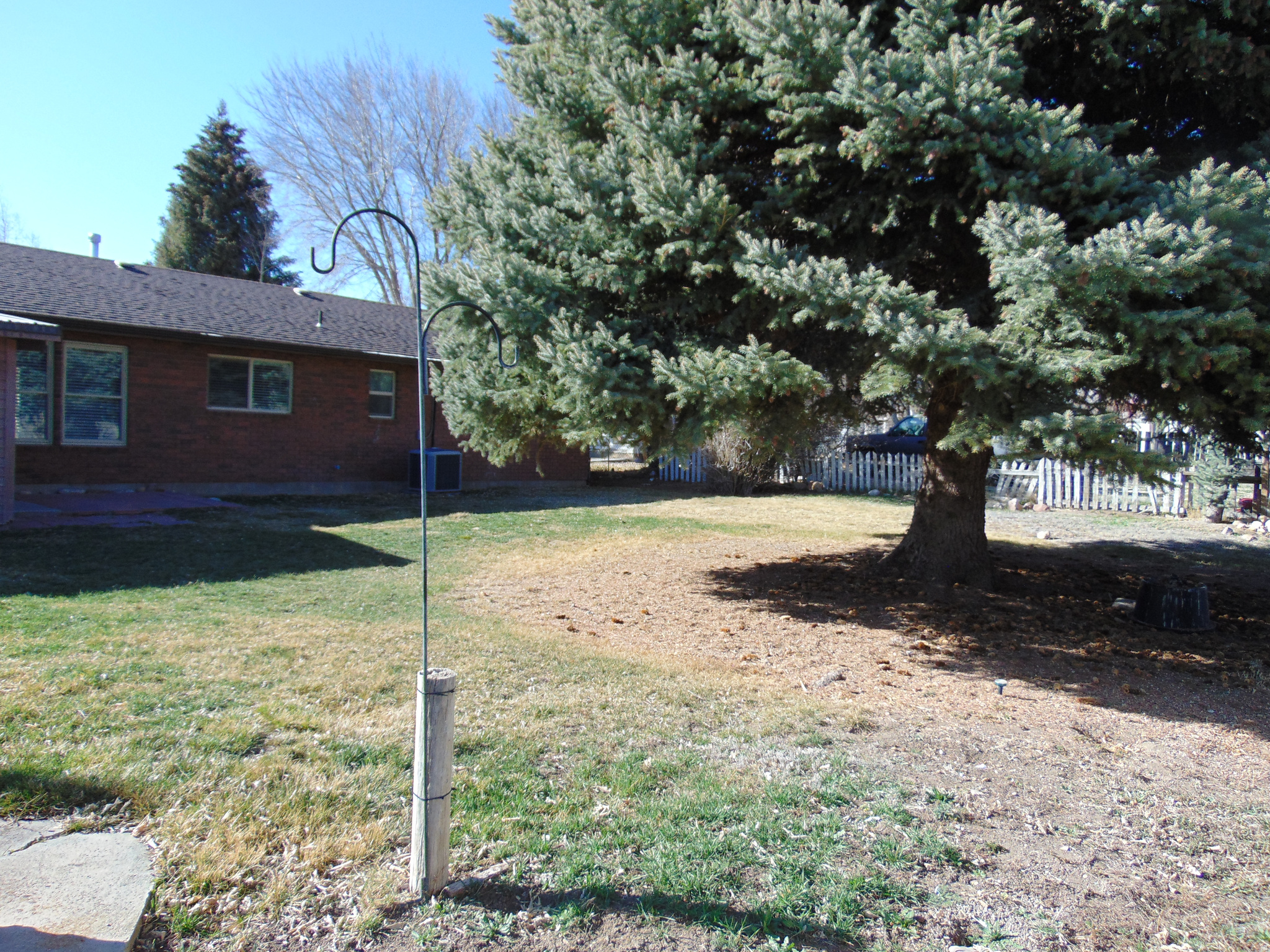 DAILEY MINOR - Residential