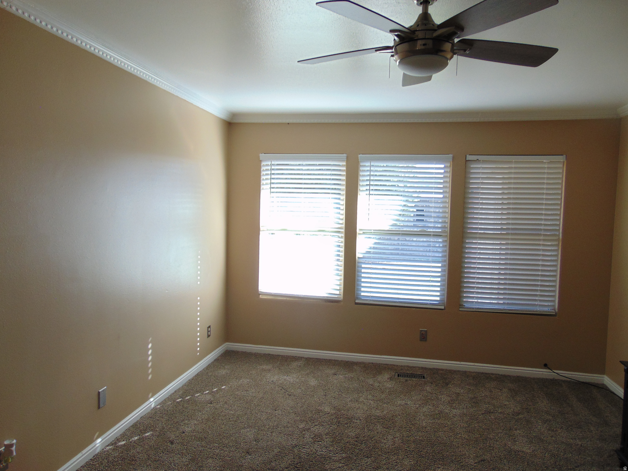 DAILEY MINOR - Residential