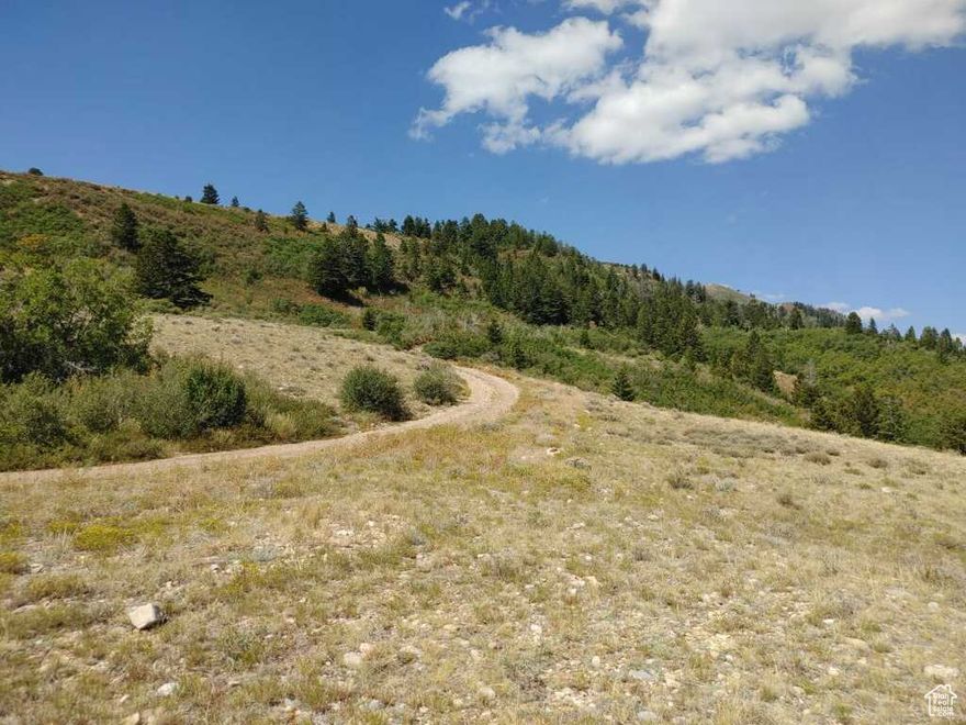 6.81 acres on Tabby Mountain. Amazing views of the mountain and valley! Beautiful place to build a cabin or just bring your camp trailer. Seasonal access. Excellent place to recreate. Come take a look.