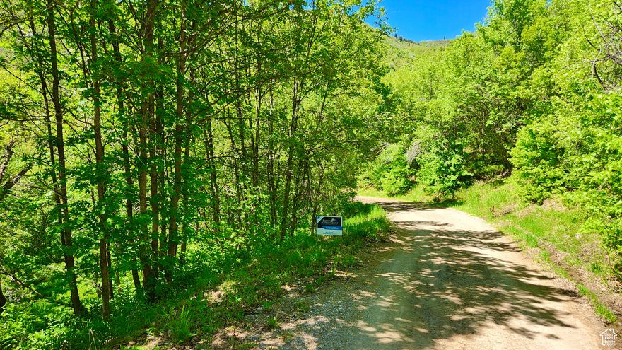 If you have been trying to find land in the gated community of Skyline Mountain Resort, now is your chance. The developer is opening up to release a handful of lots for sale this year. Enjoy all the HOA has to offer, amazing golf course, pool, tennis court, basketball courts, plus RV park, & cabin rentals for your guests. This area has so many options for outdoor activities including hiking, camping, and four wheeling throughout the property.