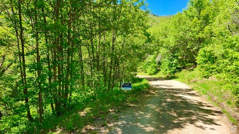 Vacant Land For Sale - 22440 N Elk Meadows Dr Mdws #O45<br/> Fairview, UT 84629