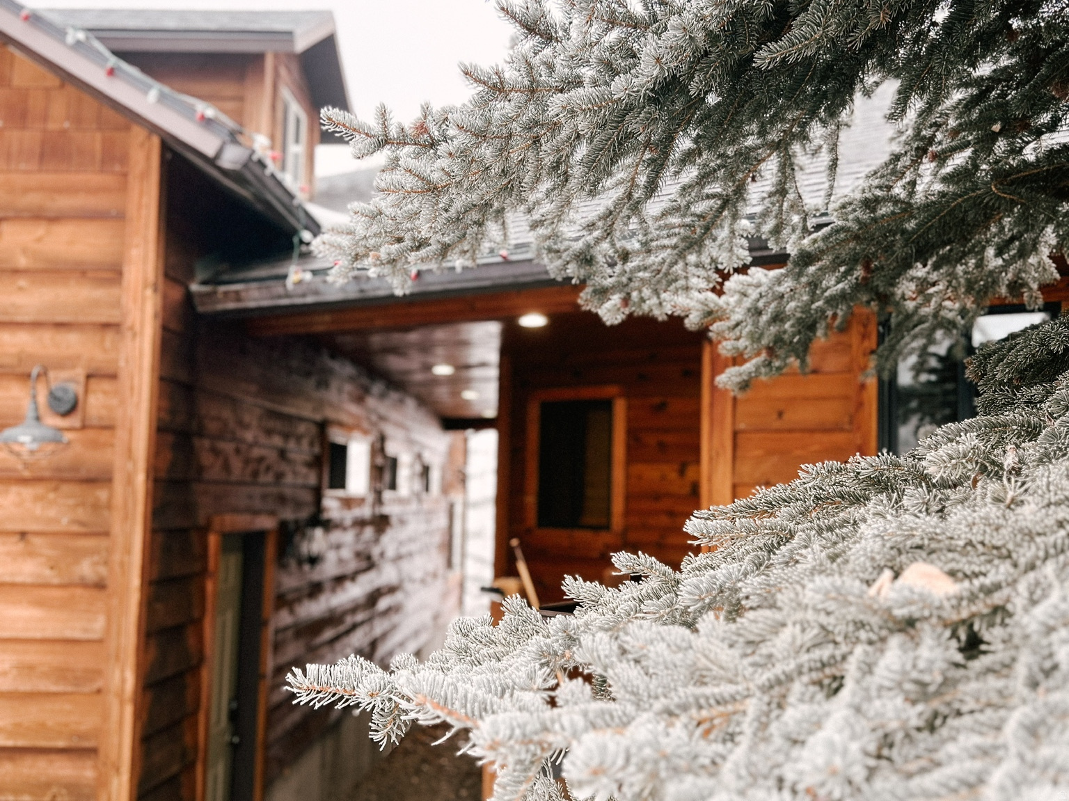 OMEGA SUB 1 - Residential