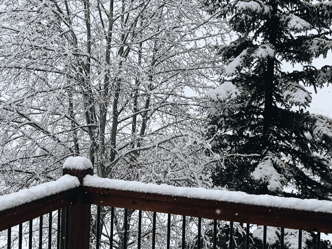 OMEGA SUB 1 - Residential