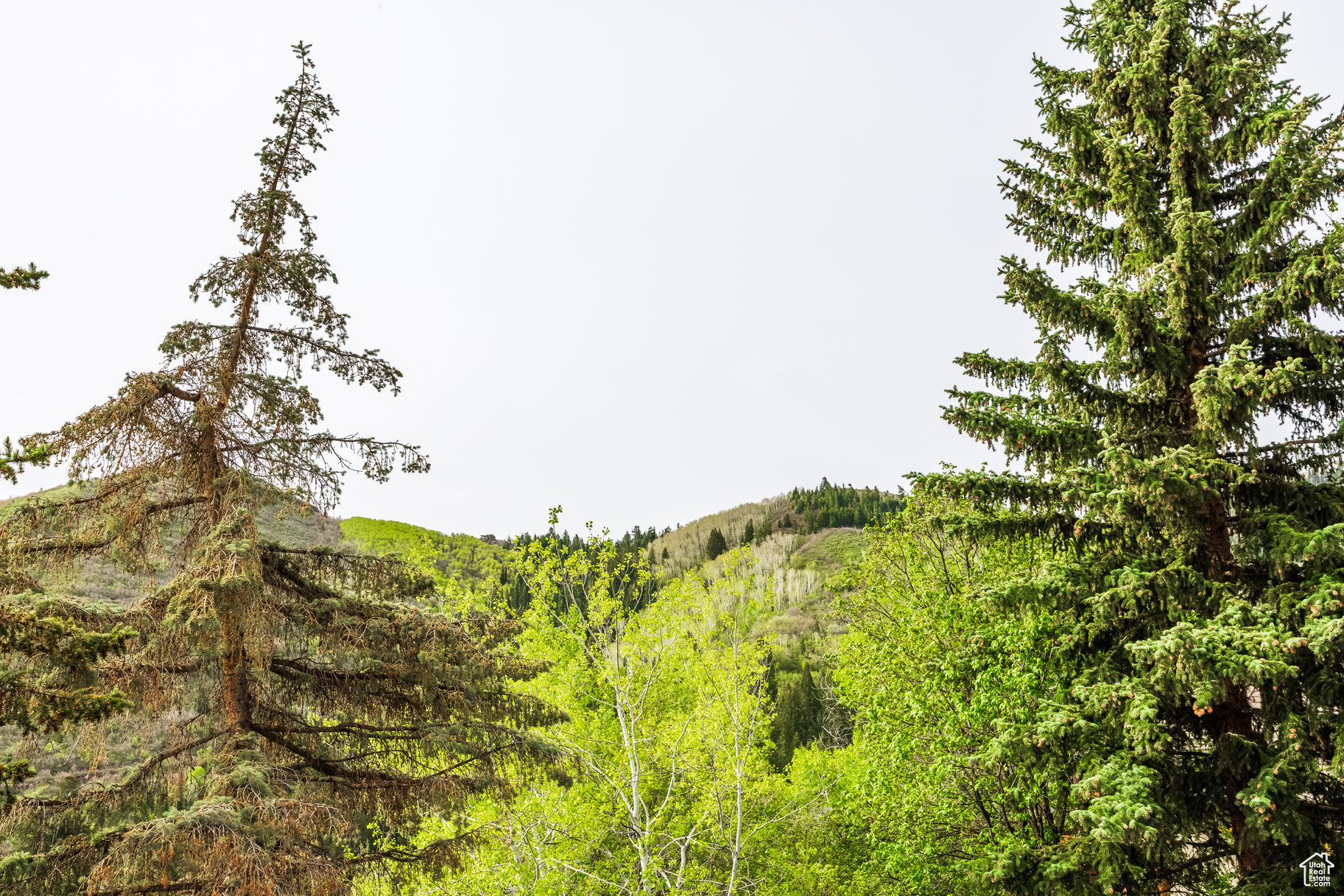 7189 N Hitching Post Dr, Park City, Utah image 50