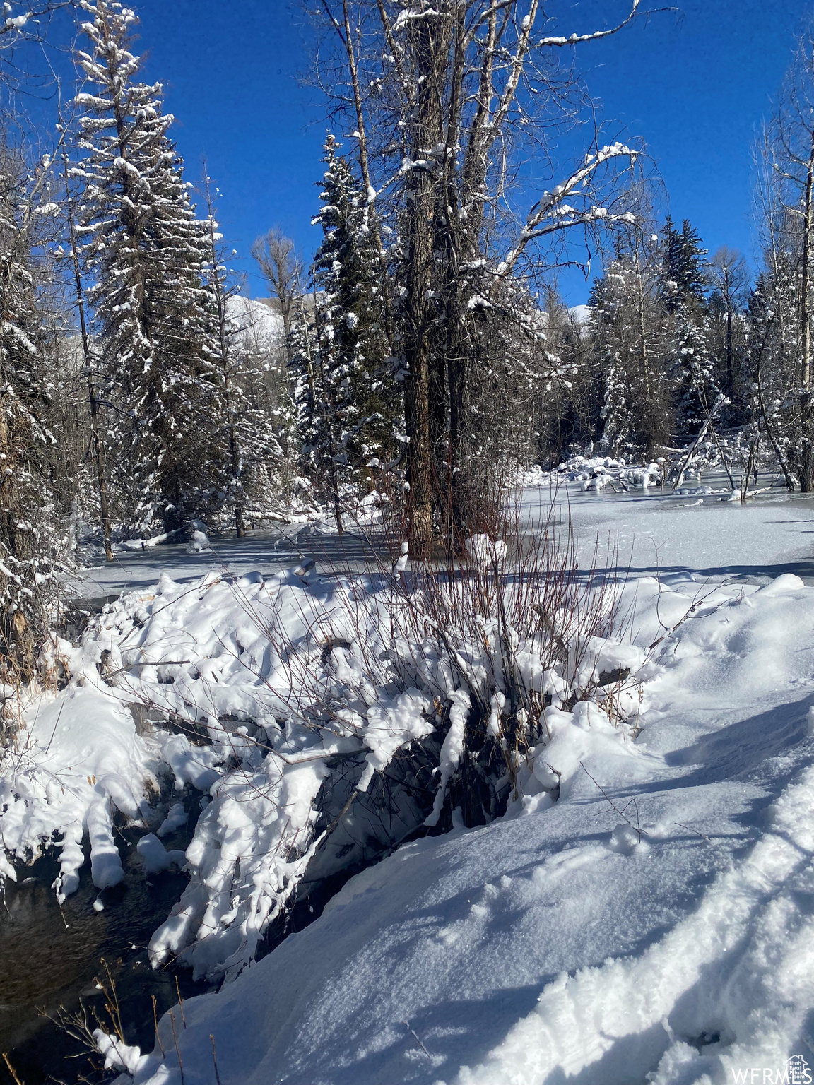 Land, Oakley, Utah image 15