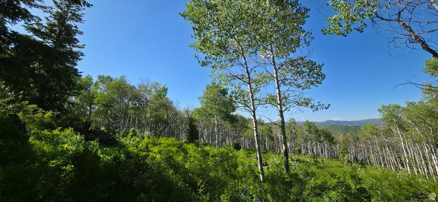 Quaking Aspen, Pine Trees, Open Meadow at the end of a Cul-de-sac. This pristine lot is level to slight grade slope. Gate in picture leads to a closed old road the developer used during construction and now blocked off at both ends from public access. This developer road is on this lot and begins at green gate. The boundary is roughly 2 feet to west of road up to 20 feet at the north end of lot. Water, Power, Phone lines stubbed to lot. Septic and Propane installed by buyers. Lot is tagged with orange tape onto trees as close to estimated boundaries for your walk around this land. Corner boundaries are surveyed as seen in photos. Buyers verify boundaries, acreage and all land information.