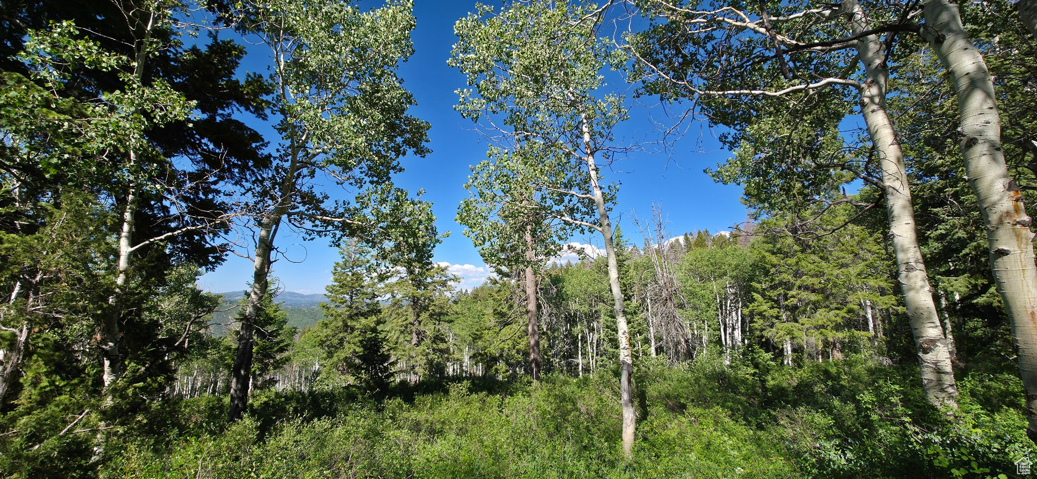 17603 S Beaver Mountain Cir #C43, Spanish Fork, Utah image 2