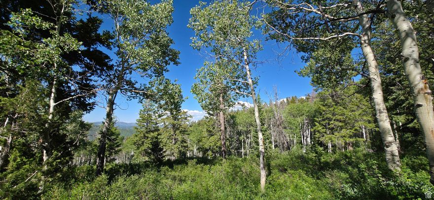 Quaking Aspen, Pine Trees, Open Meadow at the end of a Cul-de-sac. This pristine lot is level to slight grade slope. Gate in picture leads to a closed old road the developer used during construction and now blocked off at both ends from public access. This developer road is on this lot and begins at green gate. The boundary is roughly 2 feet to west of road up to 20 feet at the north end of lot. Water, Power, Phone lines stubbed to lot. Septic and Propane installed by buyers. Lot is tagged with orange tape onto trees as close to estimated boundaries for your walk around this land. Corner boundaries are surveyed as seen in photos. Buyers verify boundaries, acreage and all land information.