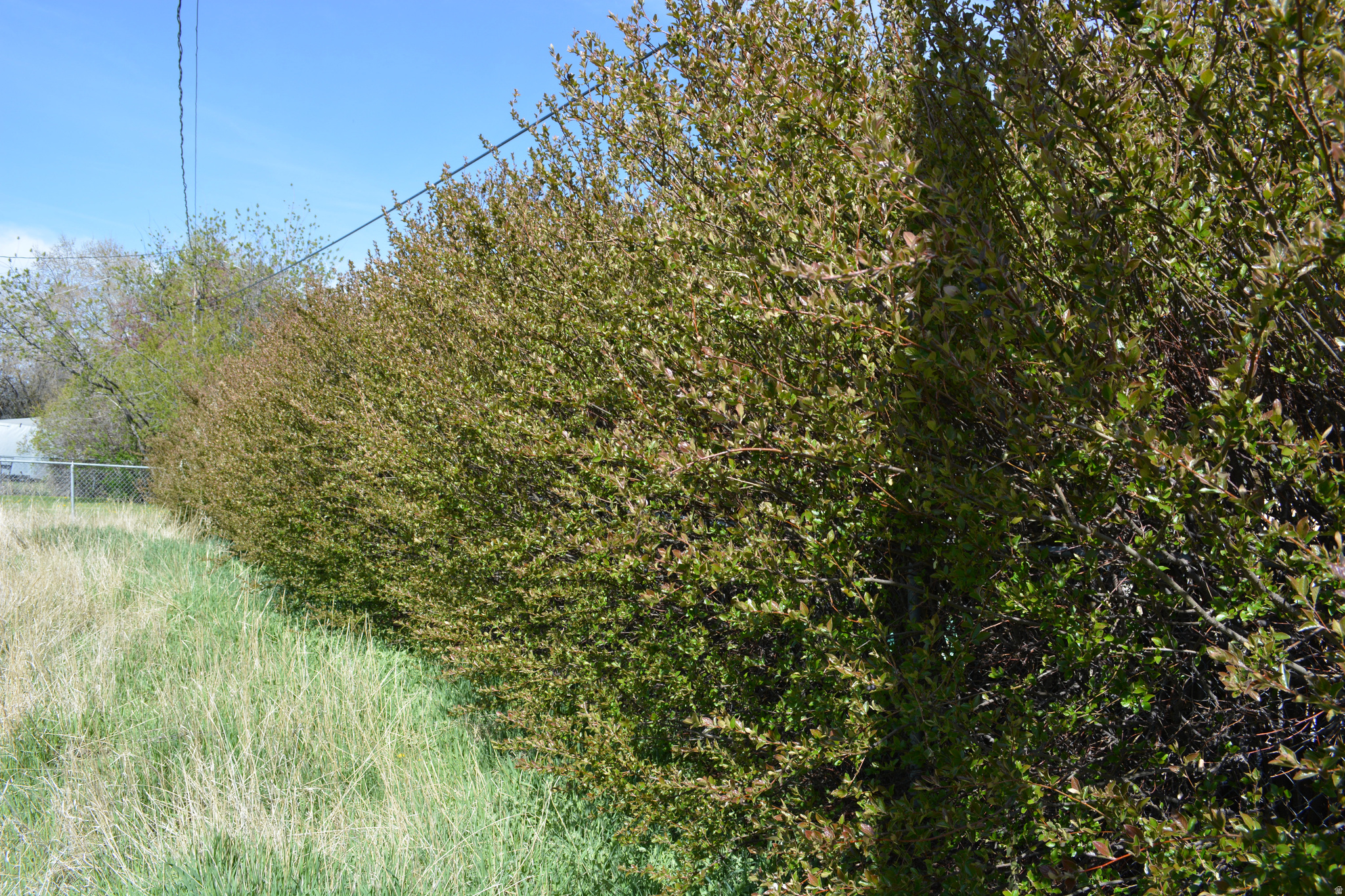 JAUSSI #1 - Residential