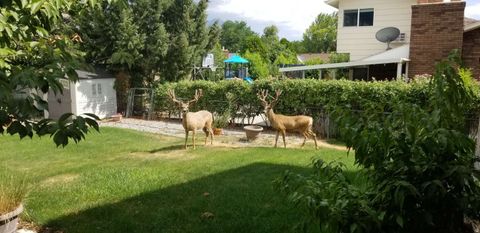 Tiny photo for 386 N 1100 E, Orem, UT 84097 (MLS # 2121218)