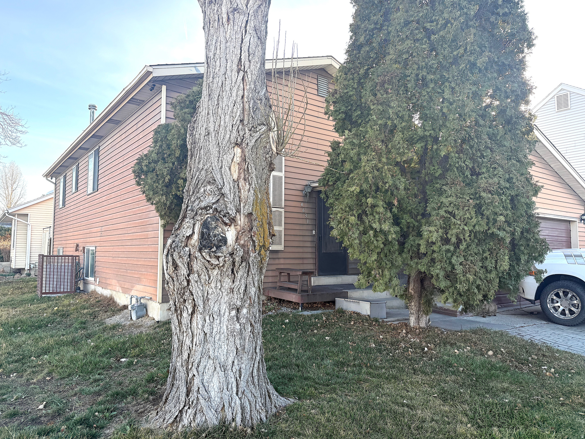 FOX SHADOW - Residential