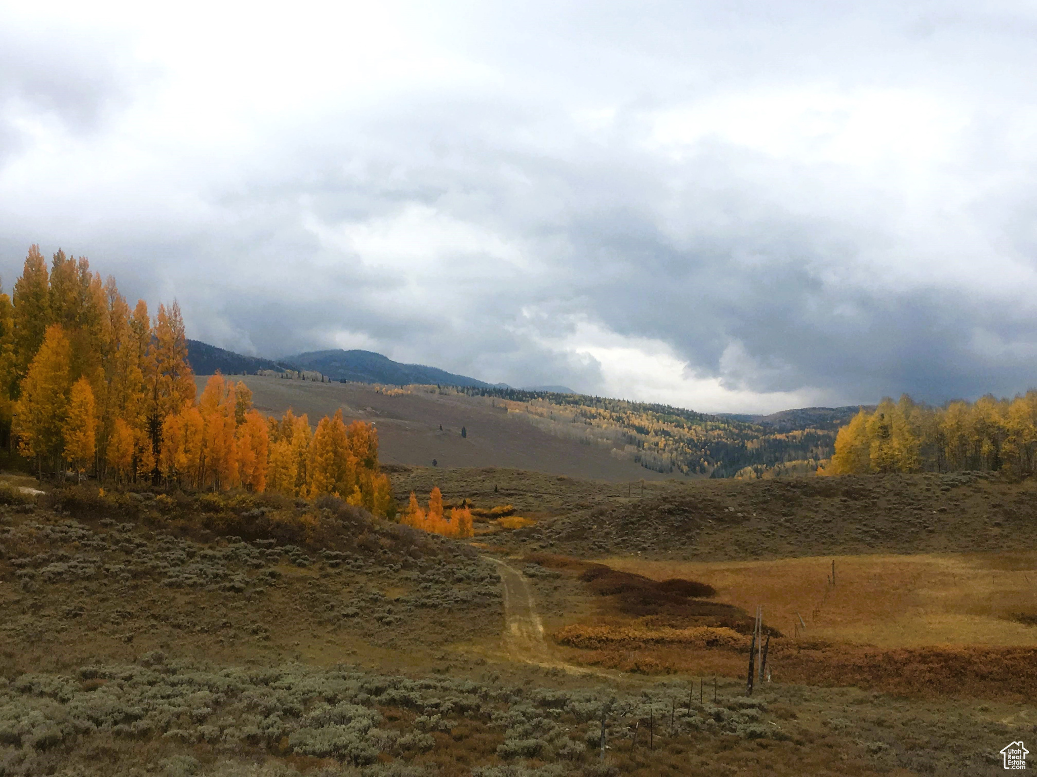 Land at Millers Flat Reservoir. 1 acre with pine and aspen trees and meadow in the gated Sky Haven community, less than a mile from Miller Flat Reservoir. This property is buildable. You can build a cabin or bring a trailer or do both. Walk to the reservoir or 300 yards to the creek, less than a mile though the forest to Rolfson Reservoir. Easy gated access from Millers Flat Road. Your neighbors are elk, deer and other wildlife! Go hunting, fishing, hiking, hang a hammock and relax to view wildlife, enjoy endless trails on your off-road vehicle and all the other recreational activities the forest has to offer right from your property. One lot away from bordering the Manti-La Sal National Forest allows you to enjoy an endless wilderness adventure. To the east and close by is the San Rafael desert. This is the perfect property if you want to have your own slice of heaven in the middle of the National Forest. Water is provided by a spring that is piped to the property to a spigot. You will need to buy a share in the Huntington Cleveland Irrigation Company from the seller to use the water. Sanpete Valley is close by with restaurants, gas stations. hardware store and a lumber year, grocery store, hospital, indoor community swimming pool and to top it all off, a drive-in theater. Winter access is by a tracked vehicle. The 1 acre property adjoining to the west is also for sale, MLS #2063480. MLS map is correct. Elevation is 8,843. Google Maps & Earth is 39.54957, -111,25136. Buyer to verify all information.